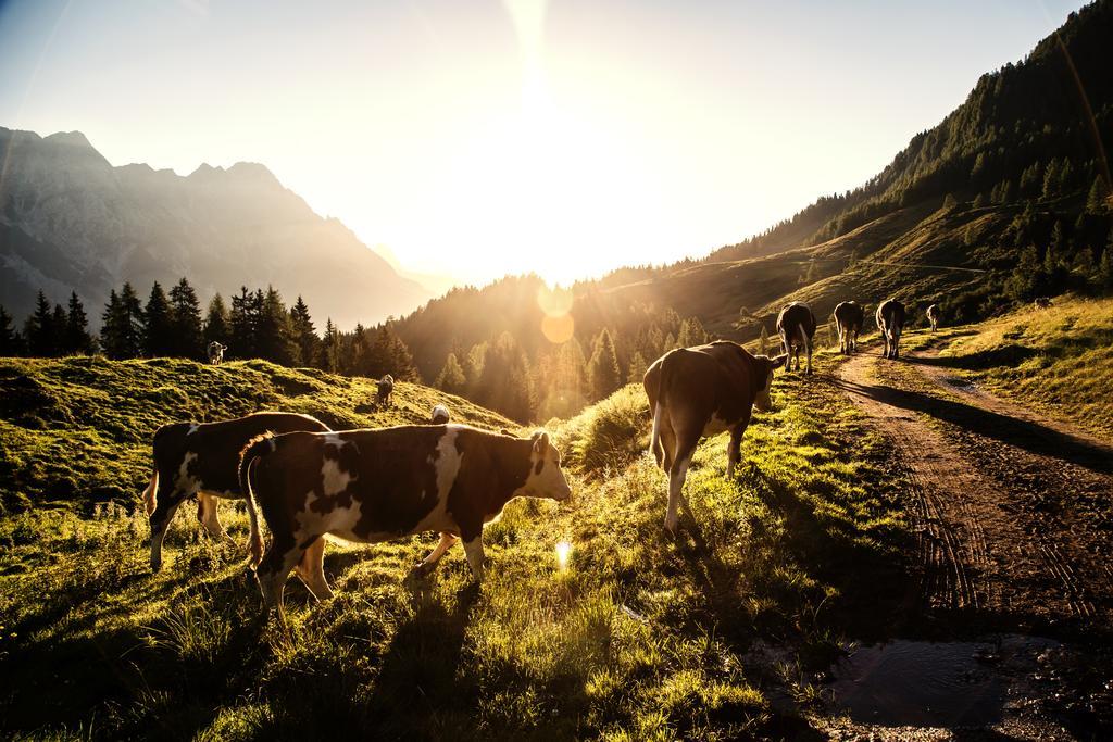 Alpin Lodge Leogang By Alpin Rentals Kültér fotó